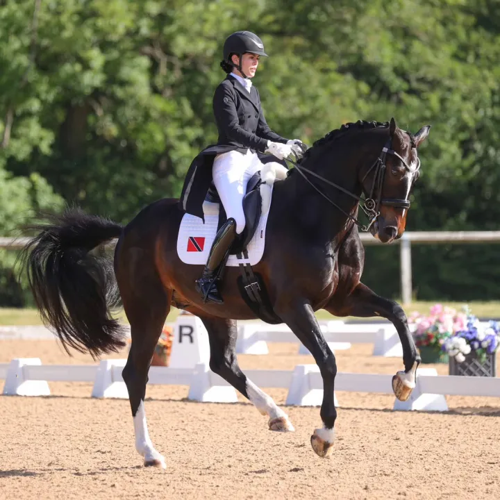 Michelle’s dark bay horse mid-stride in a dressage arena, ridden in a black show jacket